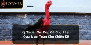 om bóp gà chọi