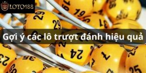 Lô Trượt Là Gì? Bí Kíp Bắt Những Con Lô May Mắn 2025