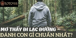 Mơ Thấy Đi Lạc - Ý Nghĩa Và Lời Khuyên Chi Tiết Nhất