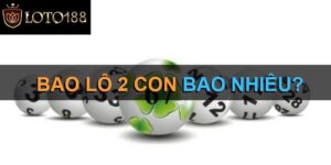 Phương Pháp Chơi Bao Lô 2 Con Hiệu Quả Và Dễ Thắng 2025